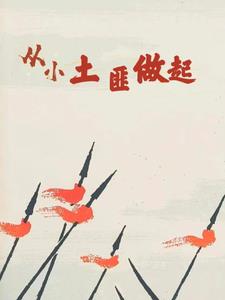 小土匪什么意思
