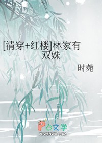 清穿红楼林氏